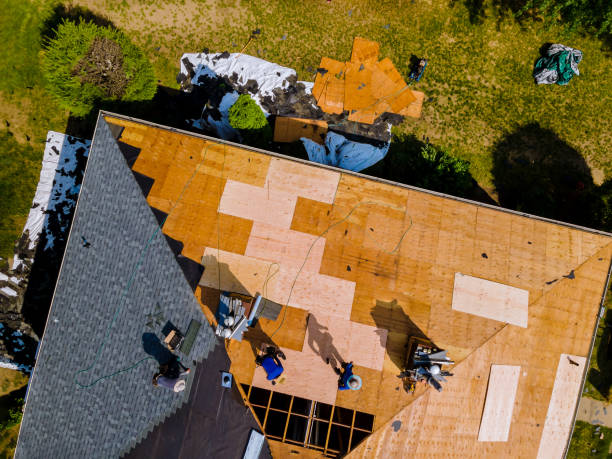 Best Gutter Installation and Roofing  in Morn, GA
